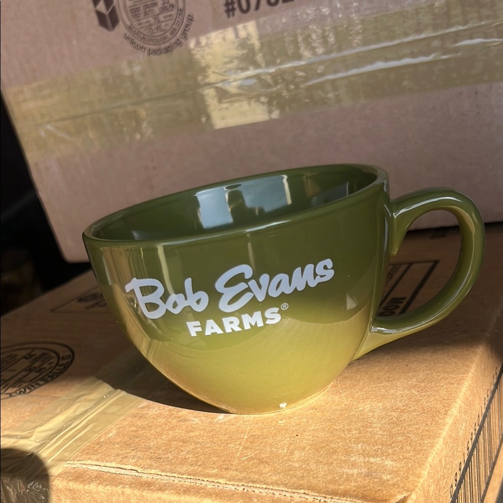 Bob Evans Farms Green Mug